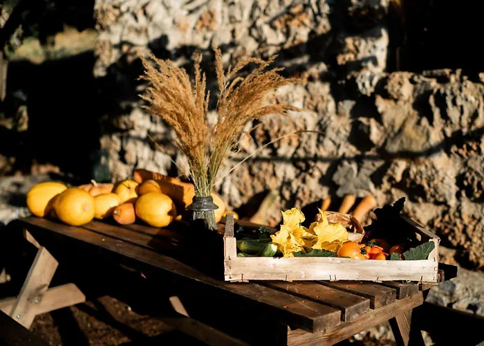 Altitude Ecolodge Yourte